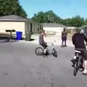 500x500