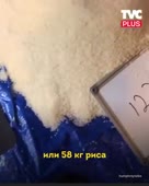 290x360
