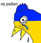 323x337