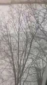 360x640