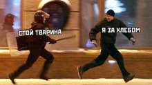 425x239