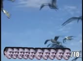 490x360