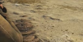 880x452