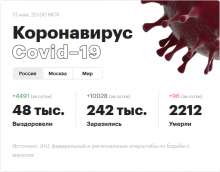 590x462