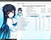 1252x986
