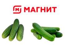 600x400