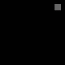 480x480