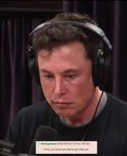 684x832