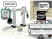 877x664