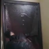 360x360