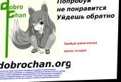 1244x852