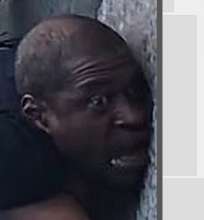 393x423