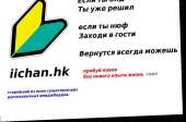 979x646
