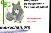 1255x830