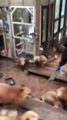 360x640