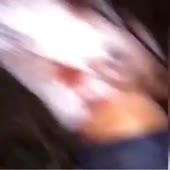 360x360