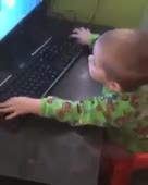 288x360