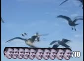 490x360