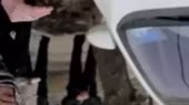 640x360