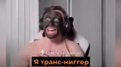 1280x720