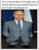 320x402