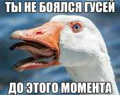 600x478