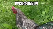 640x360