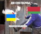 499x421