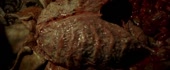 582x240