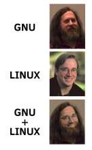 594x965