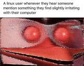1242x981