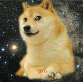 892x881