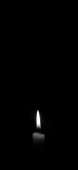1242x2688