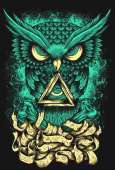 348x512