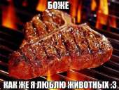 502x379