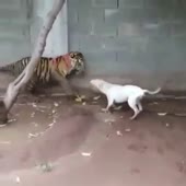 360x360