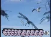 490x360