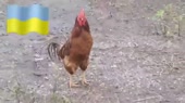 640x360