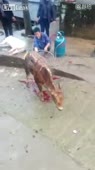 360x640