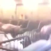 360x360