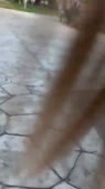 406x720