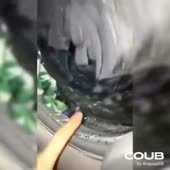 960x960