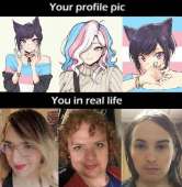 497x507