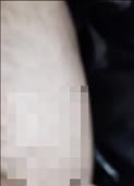 384x528