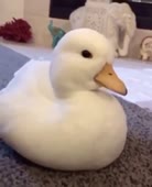 640x784