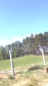 202x360
