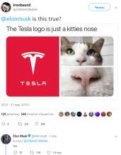 700x899