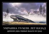 800x569