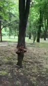 360x640
