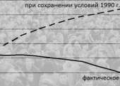 600x428